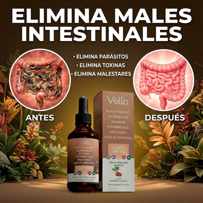 LIMPIEZA INTESTINAL ANTIPARASITARIA NATURAL